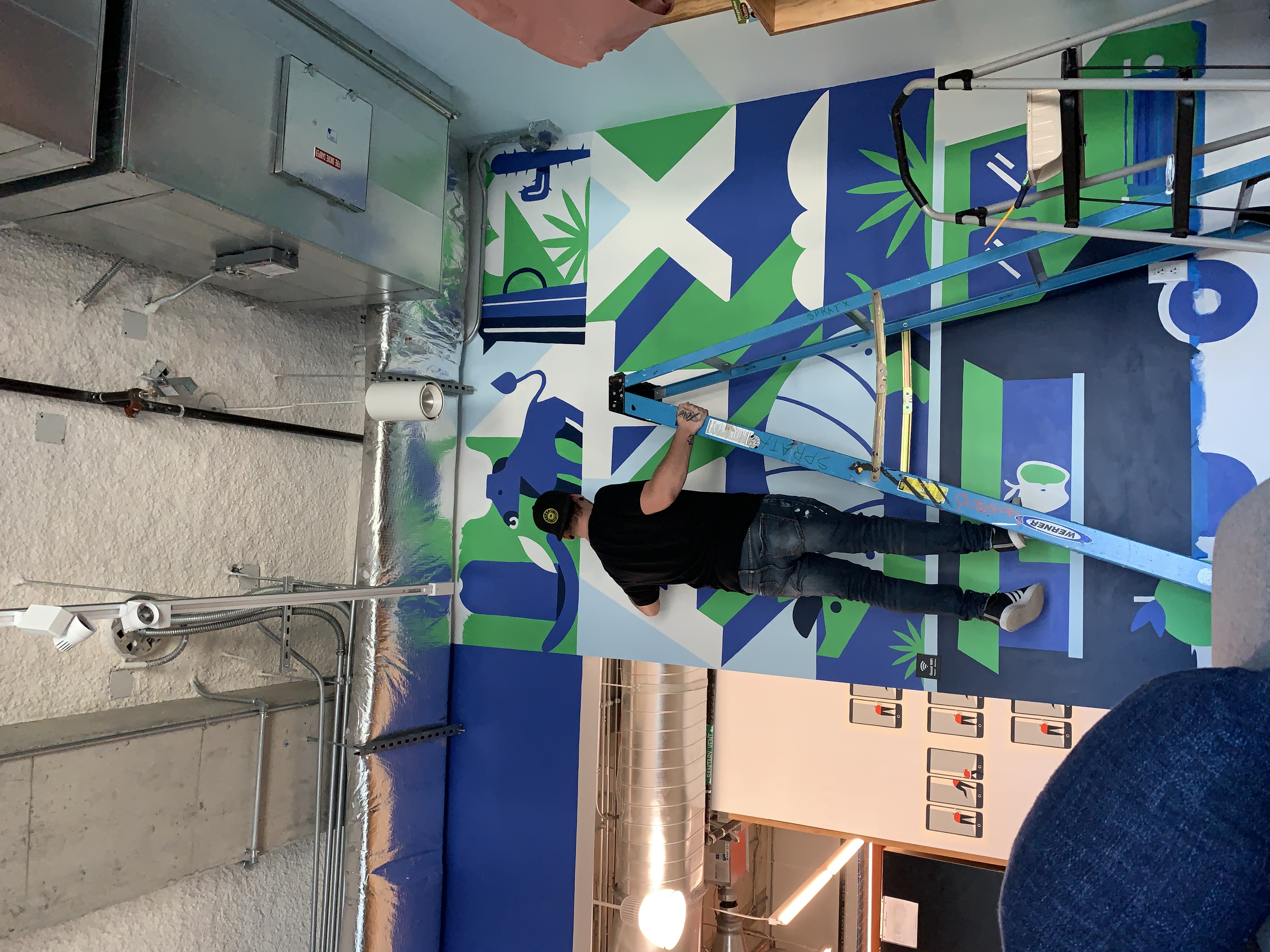 Large commercial mural painting by BLVD Murals